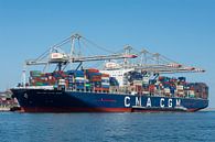 Jules Verne an Explorer class container ship in the port of Rotterdam by Elles Rijsdijk thumbnail