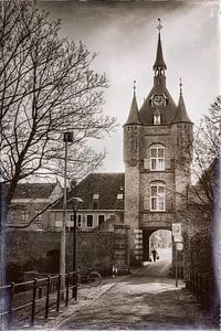 Der Lekpoort in Vianen