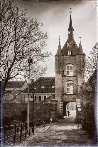 Der Lekpoort in Vianen