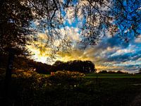 Sonnenuntergang im Teutoburger Wald