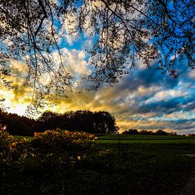 Sonnenuntergang im Teutoburger Wald van Tobi Bury