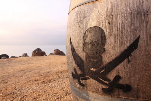 Pirate sign with skull on wooden barrel