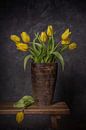 Still life of a bunch of yellow tulips in a vase by Peter Abbes thumbnail