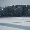 Wintersee mit Schilf und frostbedecktem Wald im Hintergrund. von Martin Köbsch