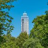 Een doorkijkje op de Zalmhaventoren vanuit Het Park in Rotterdam van MS Fotografie | Marc van der Stelt