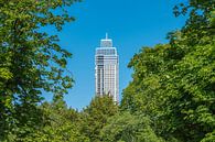 Een doorkijkje op de Zalmhaventoren vanuit Het Park in Rotterdam van MS Fotografie | Marc van der Stelt thumbnail