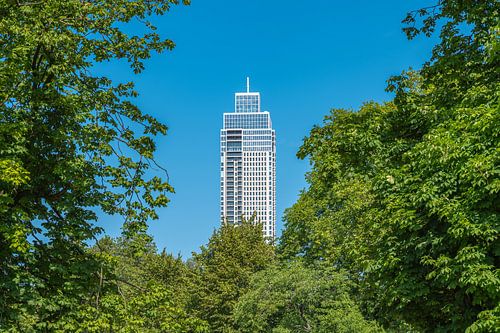 Een doorkijkje op de Zalmhaventoren vanuit Het Park in Rotterdam