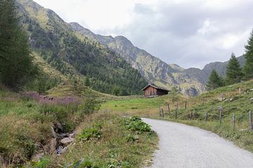 Berg idylle van Nina Rotim