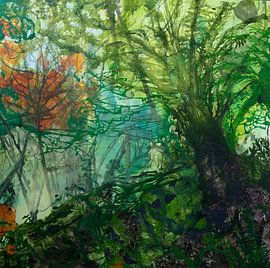 lost with Doongalla by Wendy Grace