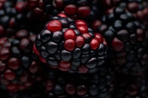 Blackberrylicious von Leon Brouwer
