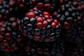Blackberrylicious van Leon Brouwer