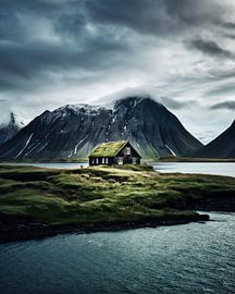 House with a view
