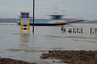 Pomona by Huub Westendorp thumbnail