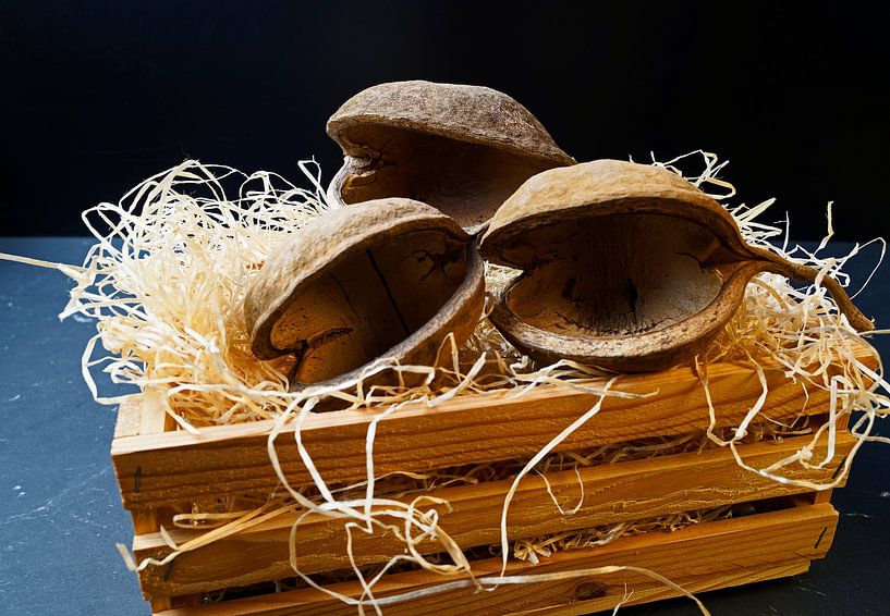 Buddha nuts natural in a box with wood wool by Babetts Bildergalerie