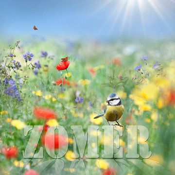 Zomer by Teuni's Dreams of Reality