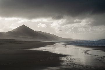 Stille nach dem Sturm von Romy Oomen