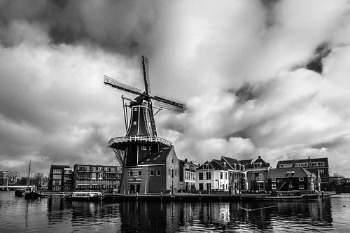 'Adriaan' in Haarlem – Liefkozend 'Adriaantje' Genoemd