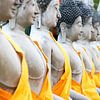 Buddha-beelden, Ayutthaya, Thailand van The Book of Wandering