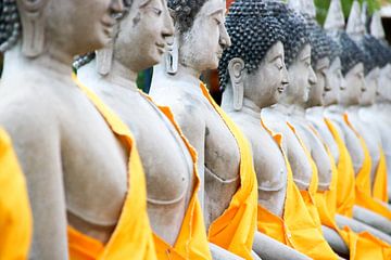 Buddha-beelden, Ayutthaya, Thailand van The Book of Wandering