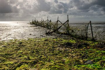 Fuik Waddenzee Texel van Ronald Timmer