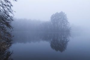 Matinée d'hiver silencieuse à l'étang d'aviron
