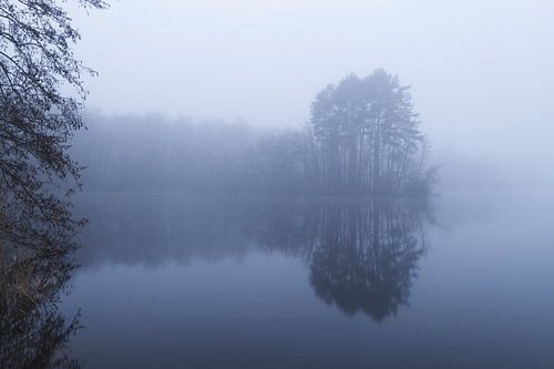 Stille Winterochtend bij de Roeivijver