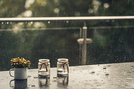 Un jour de pluie en été