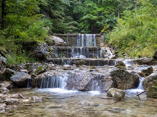 A beautiful waterfall in the forest