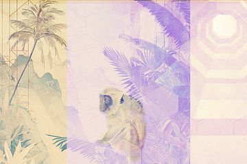 Monkey among palms decorative collage