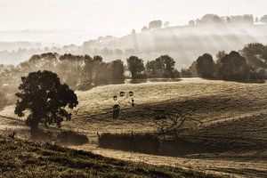 Sonnenaufgang Gulpen von Rob Boon