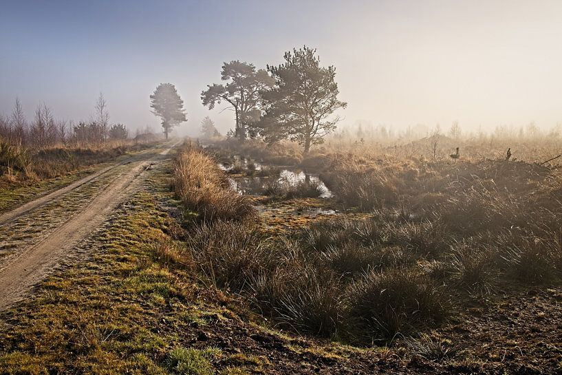 Nationaal Park de Groote Peel van Rob Boon