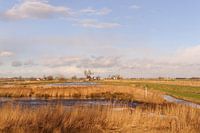 de polder