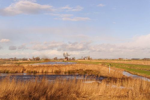 de polder