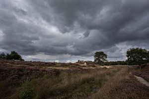 Donkere luchten boven Heidestein