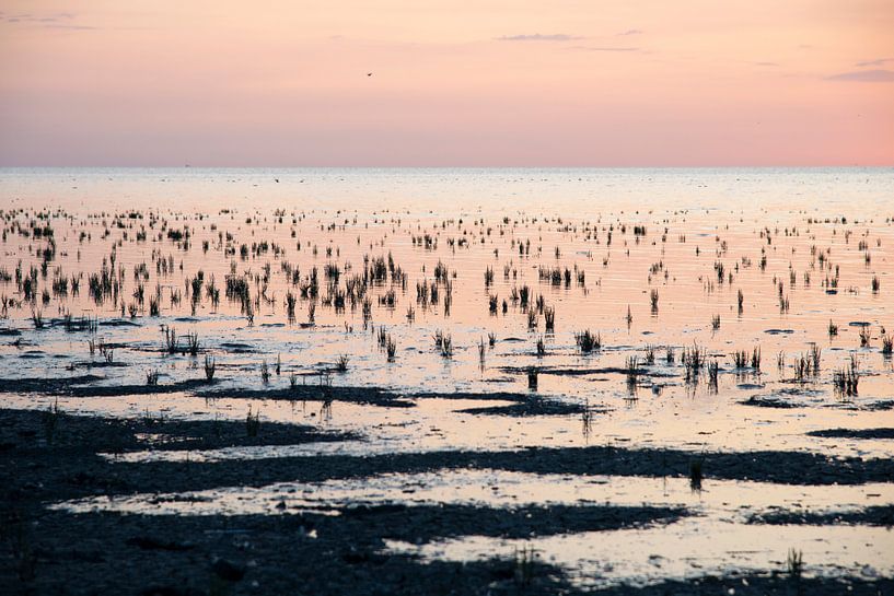 Abend am Wattenmeer von Barbara Brolsma