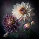 Dahlias by Carla van Zomeren thumbnail
