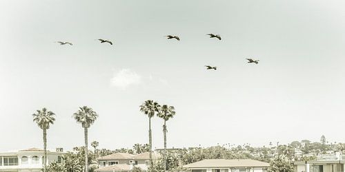 Sur les toits de San Diego | Panorama Vintage