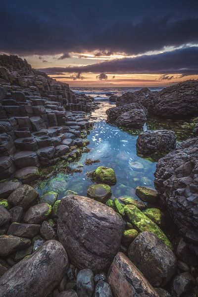 Giant's Causeway in Irland zum Sonnenuntergang von Jean Claude Castor