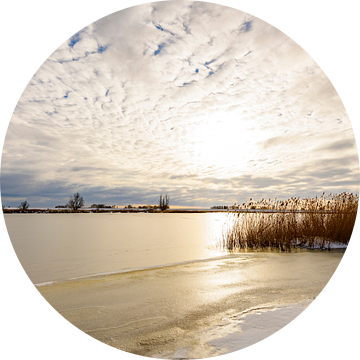 Riet in een besneeuwd winterlandschap aan een meer van Sjoerd van der Wal Fotografie
