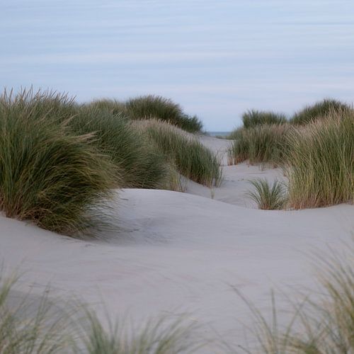 Wadden Photography - Strand #5 uit serie van 9 beelden