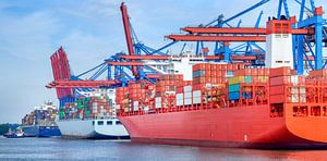 Container schepen in de haven van Hamburg van Sjoerd van der Wal Fotografie