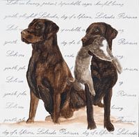 Labrador retriever jacht