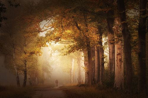 Chuchotement des feuilles