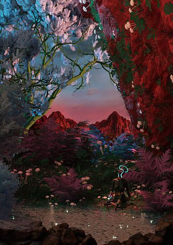 Still Life Fishing Pond