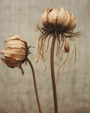 Stilleven met gedroogde bloemen van Carla Van Iersel