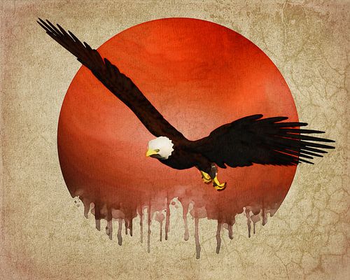 Climate change – Eagle fleeing from a melting sun