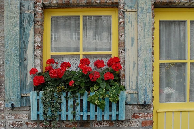 Gelb, Rot &amp; Blau. von JRobert Photography