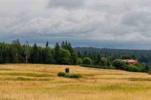 Wunderschöne Landschaft am Rennsteig/Thüringer Wald