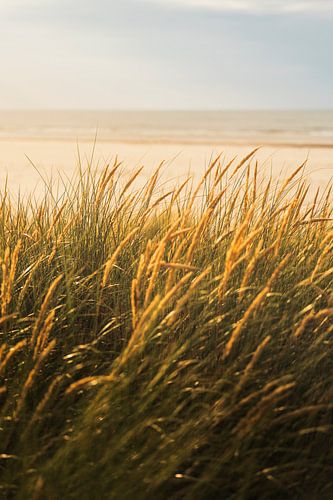 Warm gouden licht tijdens de zonsondergang op het strand