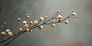 Branche de fleurs tranquille